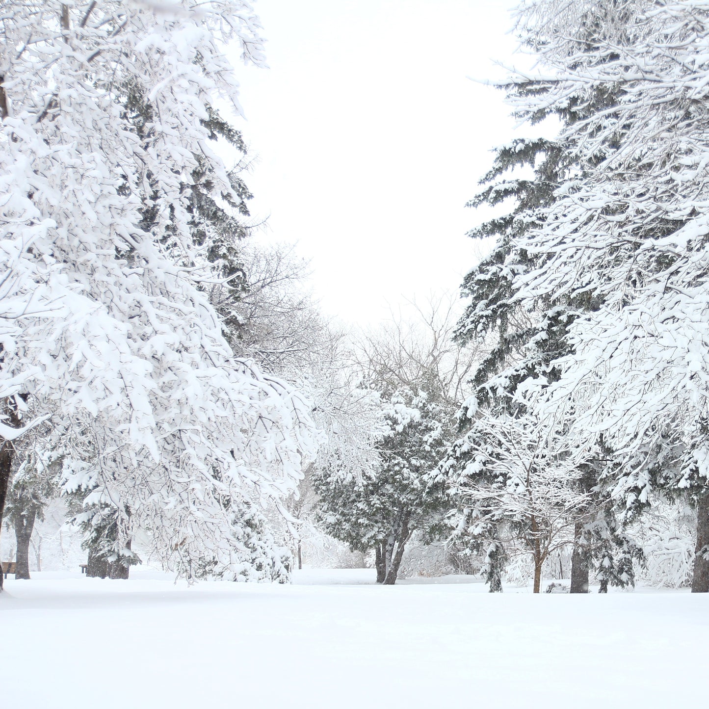 Christmas Lanyard with Snowflakes