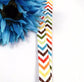 Chevron Lanyard Brown Orange Aqua