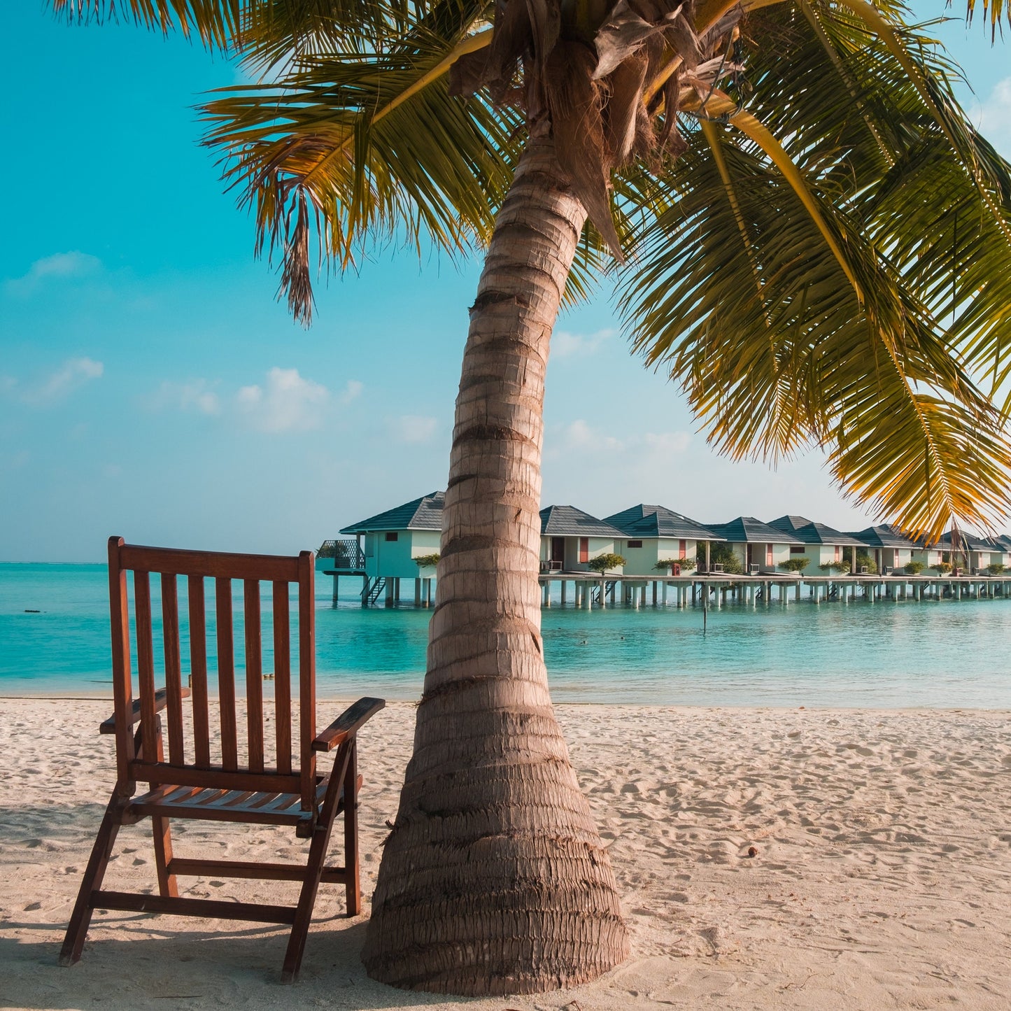 Handmade Palm Tree Keychain, Palm Trees, Beach Keychain, Customizable Keychain, Initial Keychain, Luggage Tag, Retirement Gifts, Beach Life