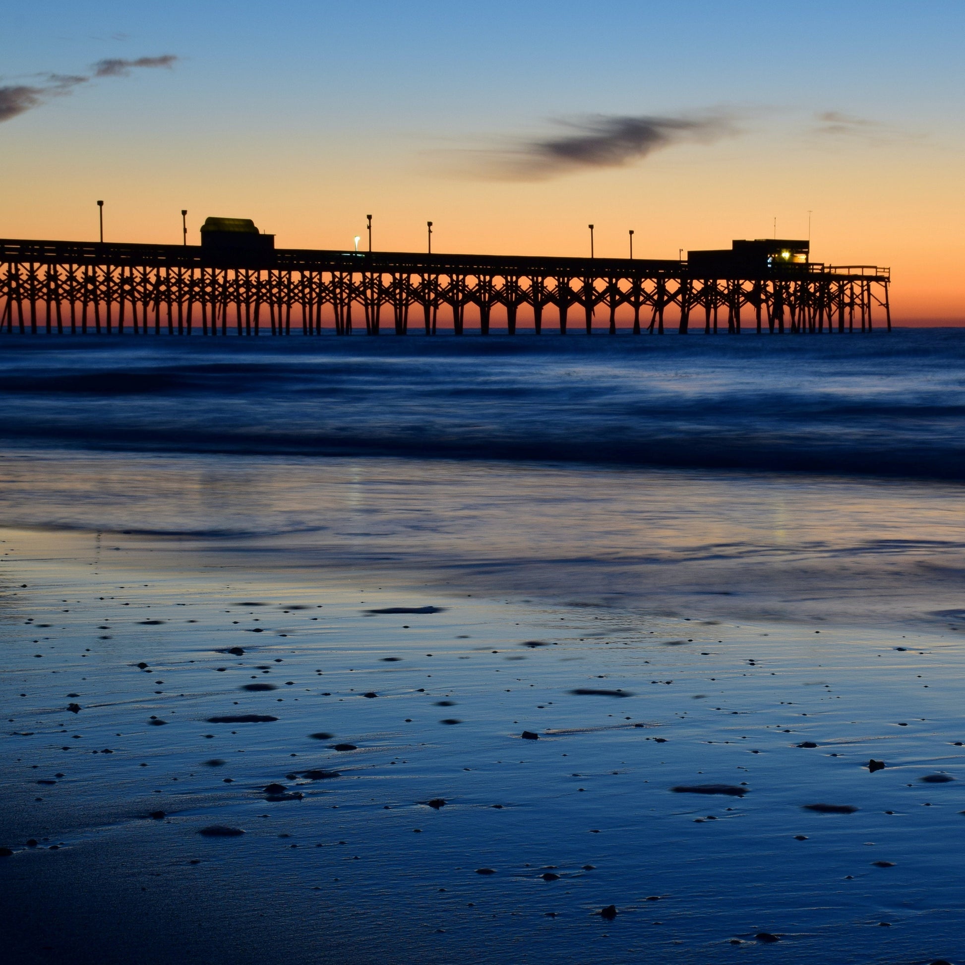 Palmetto Tree and Crescent Moon Keychain, South Carolina Gifts, Customizable Keychain, Initial Keychain, Luggage Tag, Retirement Gifts