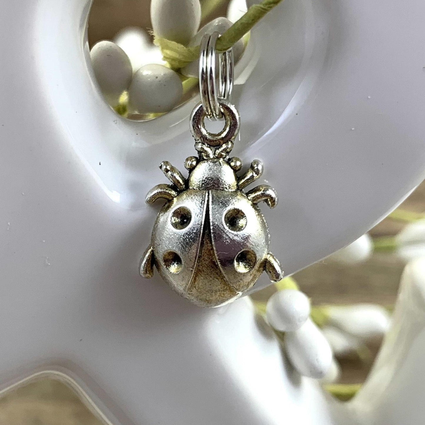 Cute LadyBug Keychain, Good Luck Gift, Best Friend Gifts Long Distance, Preschool Teacher Gifts