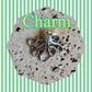 Handmade Octopus Keychain, Octopuses, Beach Keychain, Customizable Keychain, Octopus Gifts, Luggage Tag, Backpack Keychain, Beach Life