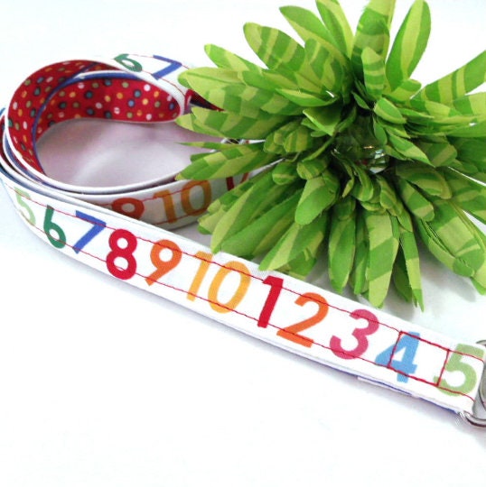 Teacher lanyard with id holder, Back to School, Teaching Lanyard, Popular Right Now, Cute Lanyard, Student Teacher, Math Teacher