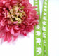 Lime Green Elephant Fabric Lanyard